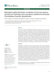 Image result for Sporobolus myrianthus