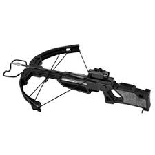 Norman Reedus Signed The Walking Dead 8×10 Photo “Daryl” With Crossbow –  Radtke Sports