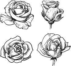 Pin En Dibujo