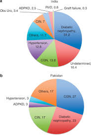 Insurance choices for dialysis and transplant patients with private insurance (decision aid). Current Status Of End Stage Renal Disease Care In India And Pakistan Kidney International Supplements