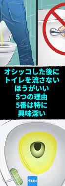 オシッコした後にトイレを流さないほうがいい5つの理由 5番は特に興味深い オシッコ後トイレを流さないほうがいい5つの理由 トイレ 生活費抑える方法 おしっこ流す 節約 資源を大切に 生活の知恵 ちえとく オシッコ 生活の知恵