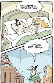 Haydaaa Karikatur Hayvan Komik