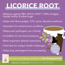 Medical Medium Licorice Root Critical Pathogen Fighter
