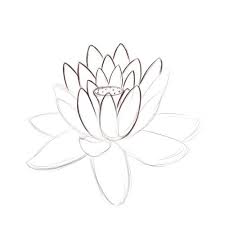How To Draw A Lotus Flower Flower Drawing Drawings Art Tutorials