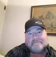 How to remove bees from a shed?