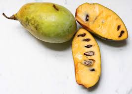 Encompasses approximately 160 acres of field production, including 25 acres of container stock, and over an acre of frames. Pawpaws Edible Columbus