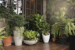 Image result