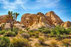 Check spelling or type a new query. Is The Hidden Valley The Best Campground In Joshua Tree National Park