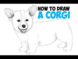 Draw the shape of the dog's body, as shown in the figure. How To Draw A Corgi Step By Step Easy Drawing A Corgi Puppy Dog Tutorial For Beginners Youtube