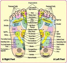 do detox foot pads work how and why purify your body