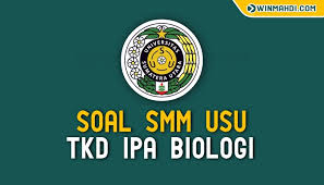 We did not find results for: Soal Ujian Smm Usu Tkd Ipa Biologi Dan Pembahasan Cpns 2021 Daya Tampung Snmptn Sbmptn Umptkin