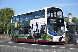 General observations