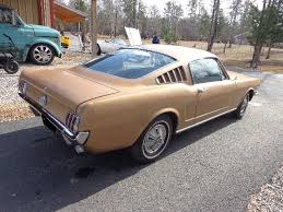Image result for Anniversary Gold 1966 Mustang