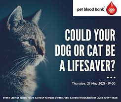 Products and services are available to all uk veterinary professionals.blood is collected from. Pet Blood Bank Uk Could Your Dog Or Cat Be A Lifesaver Bvnabritish Veterinary Nursing Association