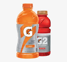 We did not find results for: Gatorade And G2 Gatorade G2 Grape 20 Oz Each 24 Bottles Total Transparent Png 429x687 Free Download On Nicepng