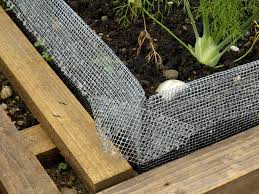 Umweltfreundlich Schnecken Bekampfen Schnecken Im Garten Schneckenzaun Schnecken