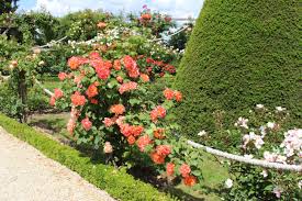 La Roseraie De Bagatelle Et Ses Merveilleuses Roses Entree Du Jardin Desespoir Du Singe Jardins