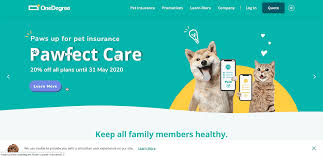 Buy a policy in 10min. Onedegree Launches First Pure Medical Pet Insurance In Hong Kong