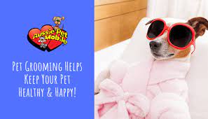 Pet grooming in orlando, fl. Pet Grooming Helps Keep Your Pet Healthy Happy Aussie Pet Mobile Greater Orlando