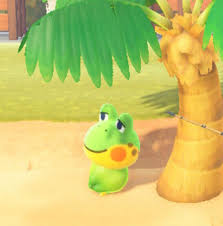 Black And Yellow Frog Animal Crossing Henry As A Coconut In 2020 Animal Crossing Memes Animal Crossing Animal Crossing Characters