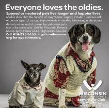 10 Dog Adoption Promos That Made Us Lol Dog Adoption Animal Rescue Fundraising Pets