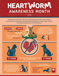 January • cervical cancer awareness month. Heartworm Awareness Month Pappy S Pet Lodge