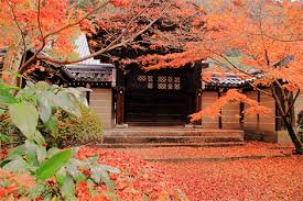 Notable attractions include the electronics city of akihabara, tokyo tower, kaminarimon at asakusa, and tokyo disneyland. Jr Rent A Car Popular Spot