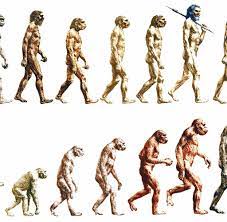 • er hat sich verändert. Naturliche Auslese Hat Der Mensch Seine Eigene Evolution Gestoppt Welt