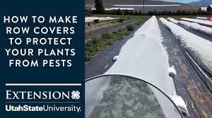 But we do have a few pest problems that the fabric row. How To Make Row Covers To Protect Your Plants From Pests Youtube