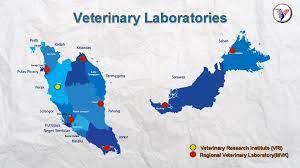 It has regional campuses at mukteshwar, bangalore, palampur, pune, kolkata and srinagar. Veterinary Research Institute Research And Innovation Division Department