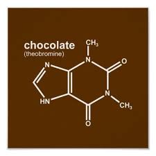 Chemical Compound Of Chocolate Chemistry Tattoo Poster Wall Chemistry Art