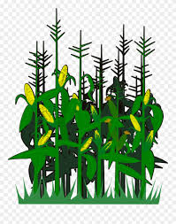 Download Corn Svg Vector Free Vector Graphics Free Pictures Clipart 2736646 Pinclipart