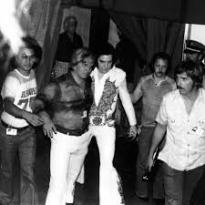 Image result for Autumn Gold Dark 1977 Caloric