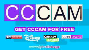 Keywords, 2 years free cccam clines 2020 1 year free cccam clines 2020. Serveur Cccam Gratuit 2020 A 2025 Free Satellite Pendant 5 Ans