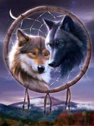 Maybe you would like to learn more about one of these? Cool Dream Catchers Novocom Top