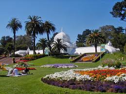 San francisco conservatory of flowers. Conservatory Of Flowers Rebecca S Reviews