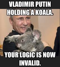 Vladimir Putin Holding A Koala Vladimir Putin Meme Koala Meme Funny Koala Putin Funny