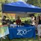 Spring Native Plant Sale