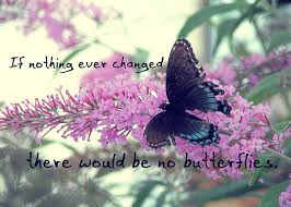 Related quotes flowers gardens nature insects fairies. Quotes About Butterfly 345 Quotes