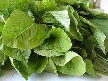 Check spelling or type a new query. Reshlok Names Of Indian Vegetables In English Hindi Telugu