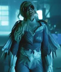 Dawn granger, also known as dove, is a strategic, defensive and a vigilante who fights crime with her partner and boyfriend hawk. Dove Titans Jacket Dove Leather Jacket Usajacket