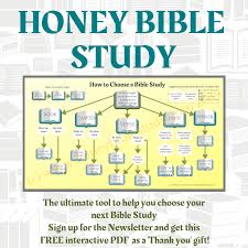 How To Choose A Bible Study Honey Bible Study