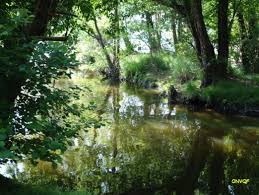 Courant Du Huchet Du Lac De Leon A Moliets Et Maa Landes 40 Aa Balade Rando Onvqf Over Blog Com Lac De Leon Landes Lac