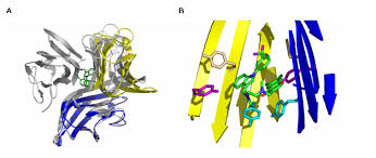 Image result for TNF Inhibitor