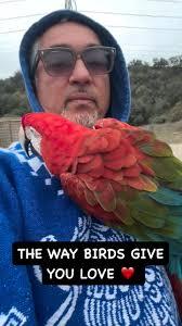 Older dog teaches puppy new tricks. ❤ It's always incredible to see dogs  support each other.