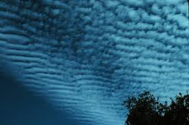 Printable space trivia questions and answers. What Type Of Cloud Is This Trivia Questions Quizzclub