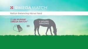Administer orally 30 ml purina ® omega match™ ahiflower ® oil supplement per day. New Purina Omega Match Ration Balancer Ahiflower Oil Supplement For Horses Now Available D L Farm And Home