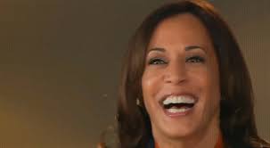 @DaveMcCormickPA's video Tweet