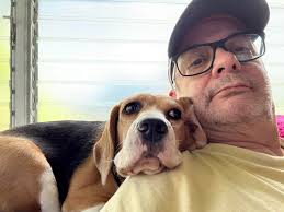 Hi how do you stop a dog from screaming the whole time your out walking  with them?