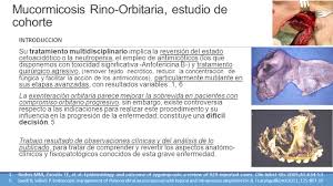 Mucormicosis rinoorbital en un paciente con s´ındrome de inmunodeciencia adquirida ( sida ) y. Mucormicosis Rino Orbitaria Estudio De Cohorte De Su Tratamiento De Acuerdo A La Extension De La Enfermedad Y Reversion De Su Fisiopatologia Dr Hector Ppt Descargar